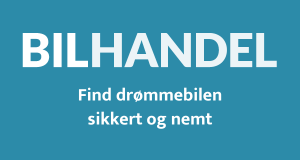 Bilhandel
